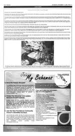 The Tribune