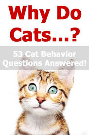 Why Do Cats A Guide To Understanding Feline Behavior Cat Articles In 2020 Cat Behavior Facts Cat Behavior Cat Behavior Problems