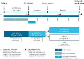 Reducing Steroids In Relapsing Nephrotic Syndrome The Restern Study Protocol Of A National Double Blind Randomised Placebo Controlled Non Inferiority Intervention Study Bmj Open