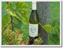 Bridewell Wine From Bridewell Organic Gardens Http Www Bridewellorganicgardens Co Uk Bridewellwine Htm English Wine Organic Wine Organic Gardening