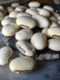 Image result for Canavalia ensiformis