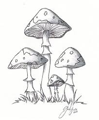 51 Cool Drawing Ideas For Your Day Off Inbound Marketing Summit Mushroom Drawing Mushroom Art Drawings
