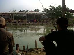 Resep Umpan Mancing Ikan Mas Sederhana Sekarang Ini