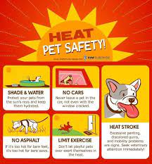 Temperatures top 40c in queensland on saturday: Hot Weather Warning For Pet The States Of Guernsey Facebook