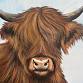 Highland Cow ✨ event image