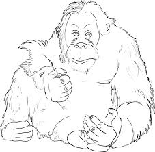 On the cladogram, draw a circle around all of the species that are descended from the species indicated by Orangutan Coloring Page Coloring Home