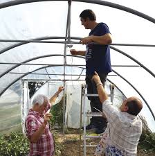 We did not find results for: Cu Doar 500 De Euro PoÈi Avea 15 C In Solar ToatÄ Iarna Lumea Satului