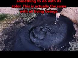 Image result for pt. 2 Super Carbon A.K.A. Melanin And Black Goo The Sperm Holds The Spirit