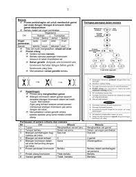 Reproduction 1 the diagram shows a process which occurs in the female reproductive system. Nota Ringkas Sains Tingkatan 4 Multifilesstorage