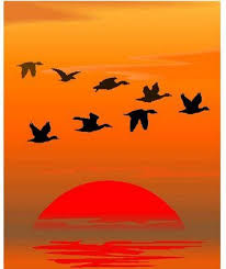 Why Do Birds Fly South For The Winter Joke Flying Away Birds Birds Flying Beautiful Birds Bird Art
