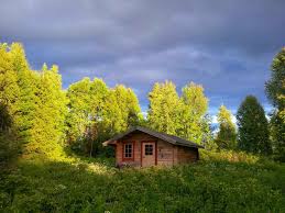 Check spelling or type a new query. Cozy Cabin In The Woods