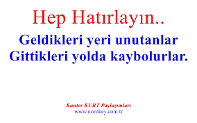 Tc Sonnur Albayrak Adli Kullanicinin Manidar Cumleler Panosundaki Pin Yerler