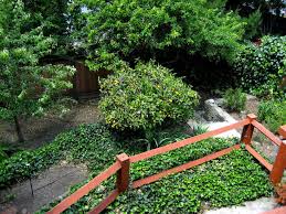 See more ideas about garden design, garden, plants. 24 Delicious Backyard Fruit Tree Ideas Home Stratosphere