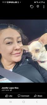 Still missing please help! 🙏 Brown and white Chihuahua Female 1 year and 8  months old Microchipped She hasn't been seen since Dec 22 2024 7:30 am in  the morning by Comice