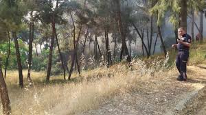 Aydin Da Yangin Manset Aydin