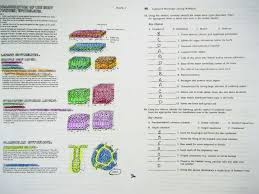 Intro And Tissues Mrs Johnsons Site