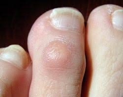 Pin On Nailѕ