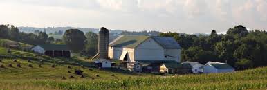 amish furniture: a new york directory