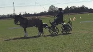 On our way home from an enjoyable two day training clinic with Boyd Exell.  , #puretalent, The Pure Feed Company