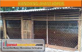 Ayam bangkok putih terdiri dari dua jenis, yaitu ayam usu dengan ciri khas seluruh bulunya yang berwarna putih tetapi bagian kaki serta dibanding dengan jenis ayam laga lainnya, ayam bangkok ini memiliki ukuran jengger yang terbilang pendek. Desain Kandang Ayam Joper Sesuai Umur Dan Cara Membuatnya