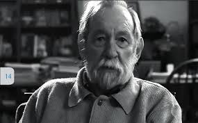 Maestro de la Salud Pública