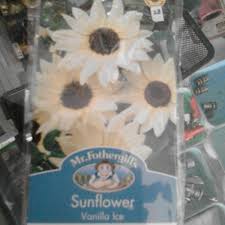 Photos, address, and phone number, opening hours, photos, and user reviews on yandex.maps. Jual Produk Benih Bibit Bunga Matahari Sunflower Vanilla Ice Isi 50 Butir Yogyakarta Rima Irum Tokopedia