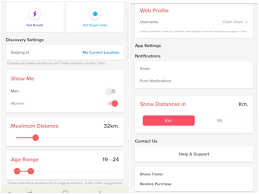 This is what a tinder web profile looks like (using safari): How To Use Tinder Gadgets Now