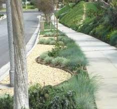 We have a refined selection of before we begin this guide on drought tolerant plants, however, we need to emphasize a couple of. Landscape Drought Tolerant Landscape Landscape Design Drought Tolerant Garden