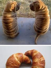 10 Hilarious Things That Are Incredibly Similar To Each Other