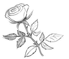 1001 modeles et conseils pour apprendre comment dessiner une. Comment Dessiner Une Rose Au Crayon Cours De Dessin Artacademie Paris Artacademie
