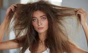Severe and prolonged hypothyroidism and hyperthyroidism can cause loss of hair. My Hair Is Coarse And Dry Breaking Brittle