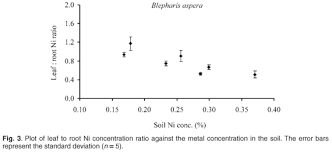 Image result for Blepharis diversispina