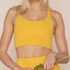 nwt girlfriend collective citrine bra nwt