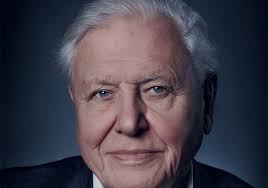 Top 100 Beste Documentaires (films in het genre documentaire)