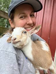 Dana Bott's Instagram, Twitter & Facebook