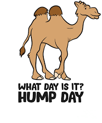 They have other physiological features. Funny Camel What Day Is It Hump Day Funny Camels Tapestry Textile By Eq Designs