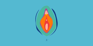 Just wanted to show you all of my little holes i hope this makes you happy! Clitoris Female Pleasure Anatomy Diagram Definition Location Of The Clit