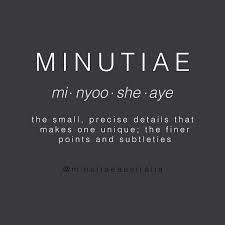 Minutiaeaustralia On Instagram The Meaning Behind The Name Minutiae Unique Individual Identity Fashion Leat One Word Quotes Unusual Words Weird Words