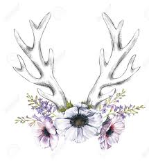 Beautiful Illustration With The Watercolor Anemone Flowers And Stock Photo Picture And Royalty Free Image Image 95145173