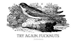 Bird Bird Bird Bird Is The Word Timbaland Instagram Post By Effin Birds May 12 2019 At 4 00pm Utc Instagram Posts Instagram Effin