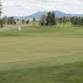 Idaho Mid-Amateur Championship