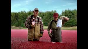 Check spelling or type a new query. Ocean Spray Tv Commercial No Added Sugar Ispot Tv