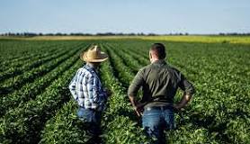 Soybean / Soya Bean Farming in South Africa | ADAMA South Africa