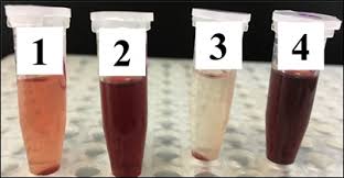 Image result for Anisotes