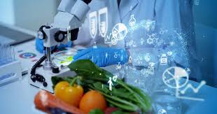 THE IMPORTANCE OF FOOD SCIENCE AND TECHNOLOGY
