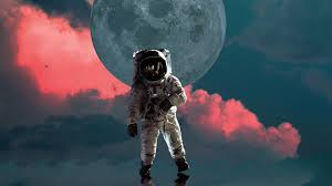 We did not find results for: An Astronaut 4k Hd Artist 4k Wallpapers Images Backgrounds Photos And Pictures