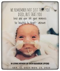 Owen Habakkuk Legacy