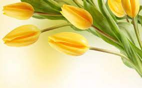 Pin On Flowers