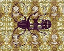Bug On A Rug By Colleen Using Dover Clip Art Dover Clipart Art Art Inspiration Clip Art