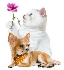The most comprehensive image search on the web. Dreamies De Niedliche Hunde Tierbilder Ausgestopftes Tier